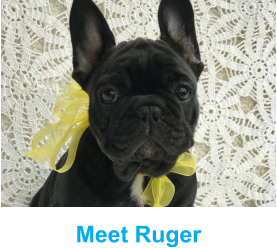 Meet Ruger