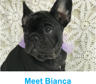 Meet Bianca